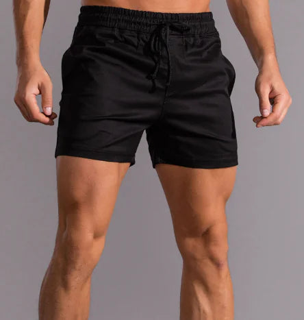 Men's Quick-Dry Nylon Beach Shorts (3-Point Style)